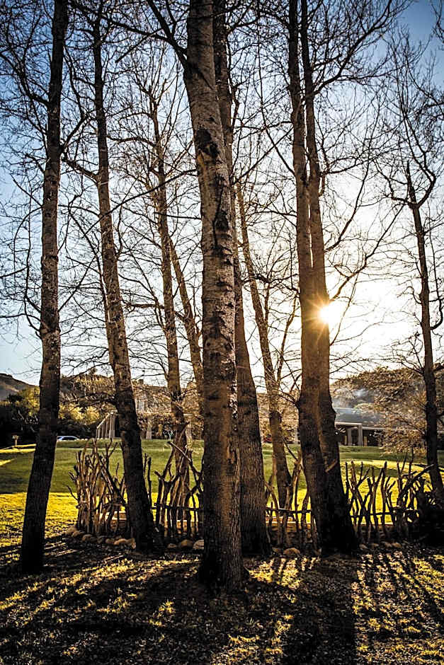 Wildehondekloof Game Lodge