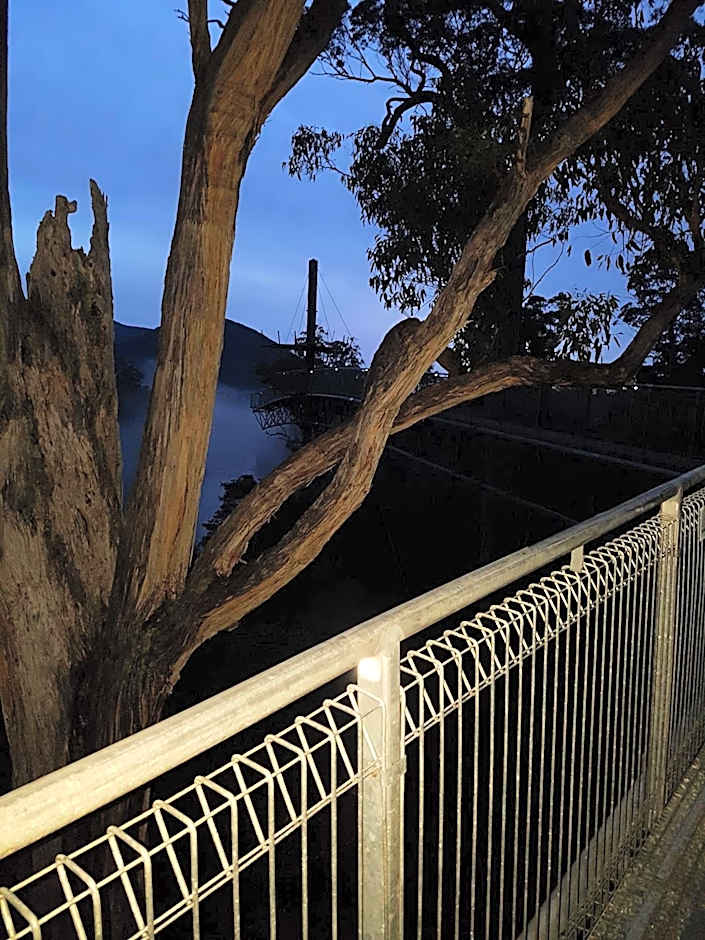 Tahune AirWalk Cabin and Lodge