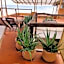 Hotel Salmastro