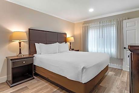 1 Queen Bed Non-Smoking Refrigerator Wi-Fi Continental Breakfast