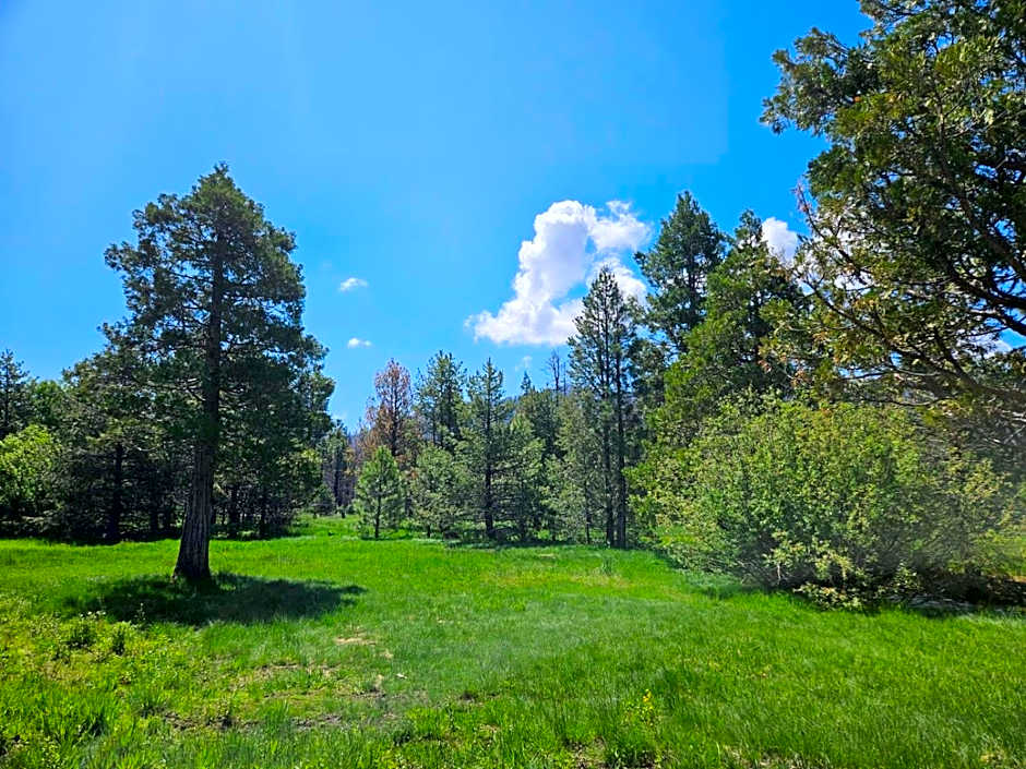 The Black Forest Lodge