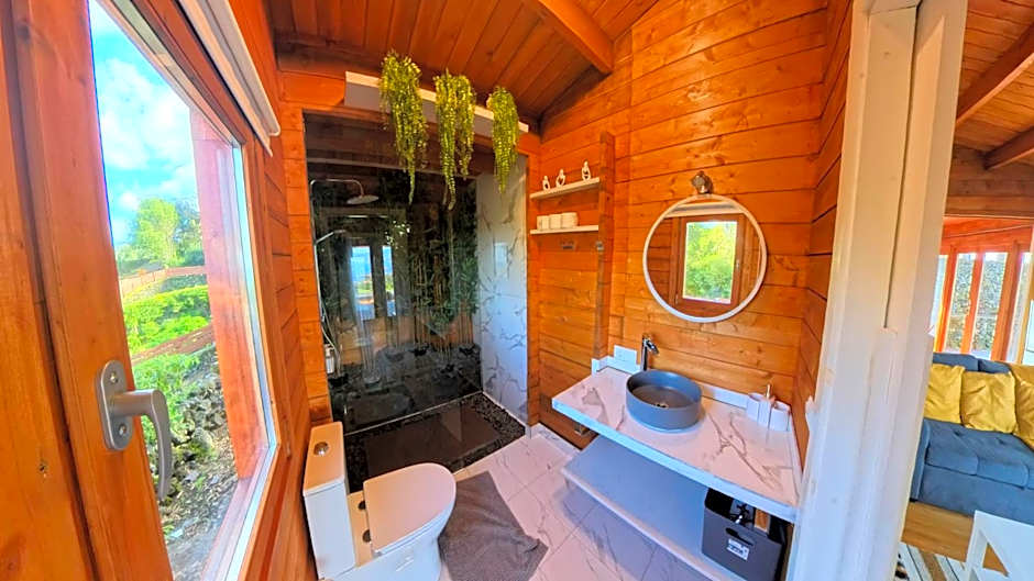 Adega da Quinta -Casa da Pipas