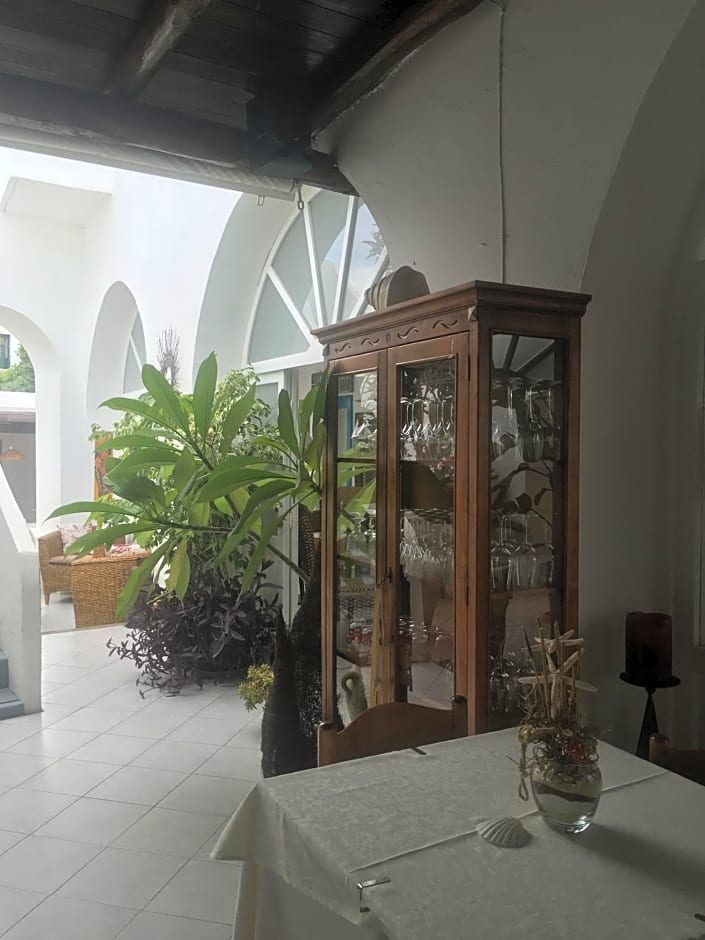 Hotel O Palmo