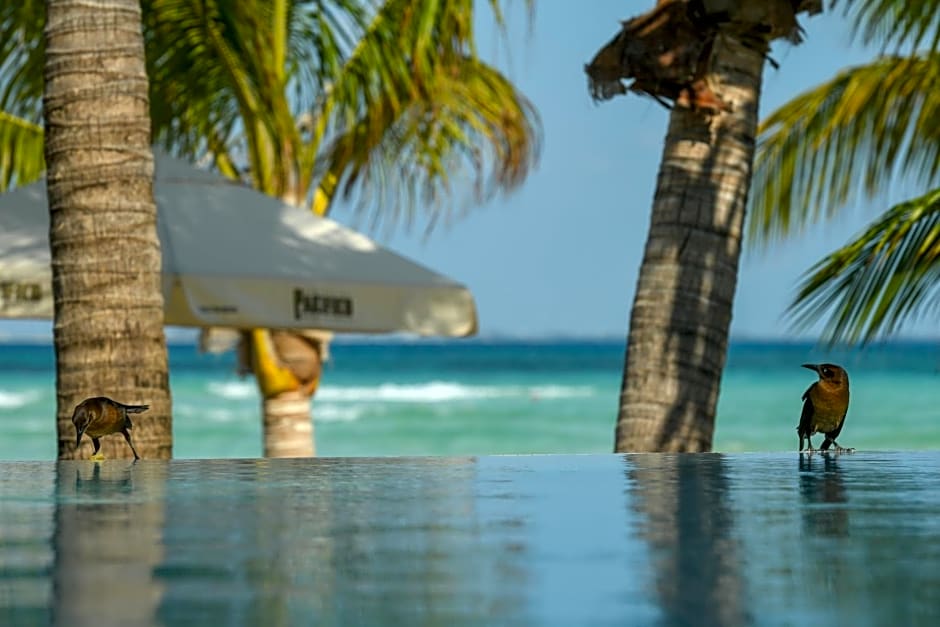 Casa del Jaguar Beach Hotel