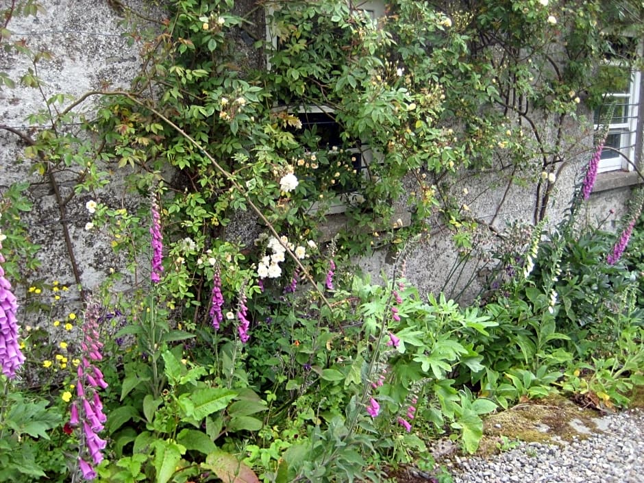 Ballydugan Country House