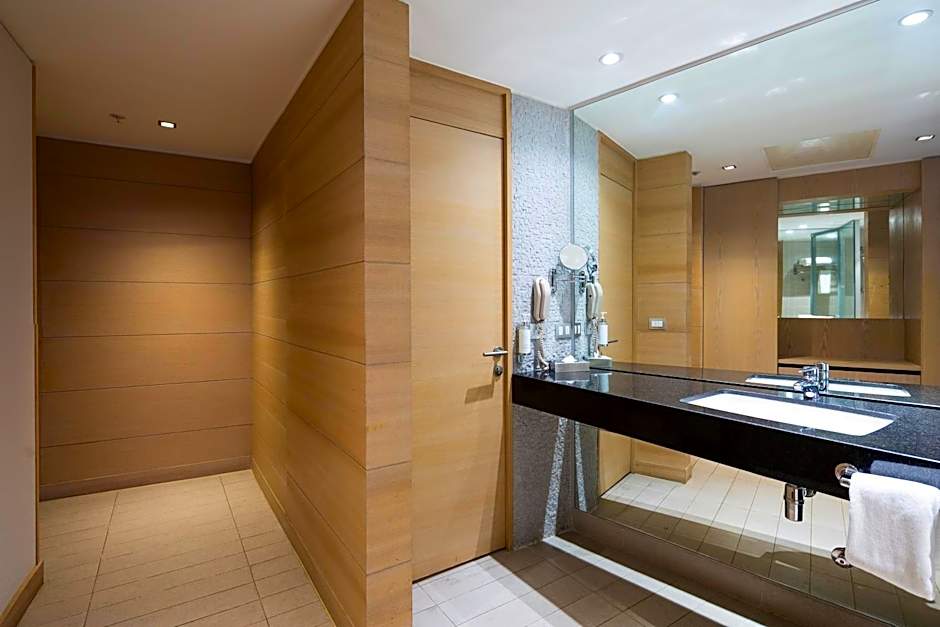 Wyndham Concepcion Pettra