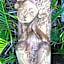 Ballina Palms Boutique Motel