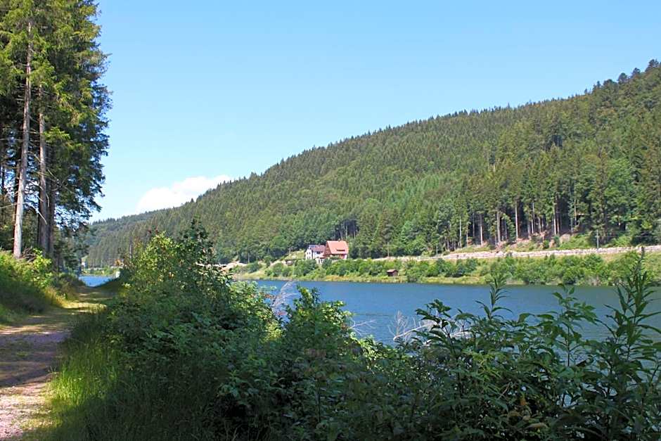 ZUR TRAUBE Schwarzwaldhotel & Restaurant am Titisee