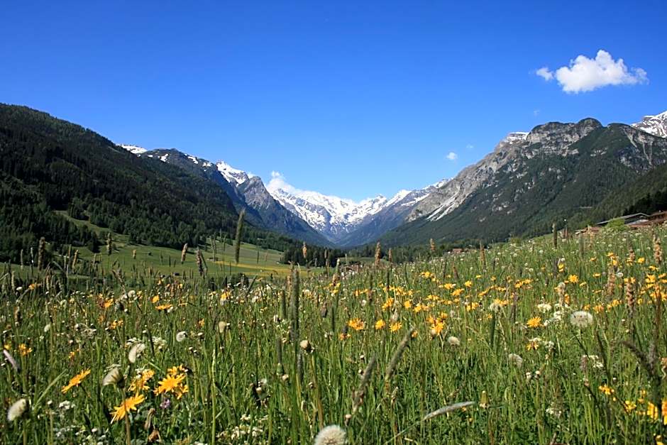 Alpen Gasthof Apartments Hohe Burg
