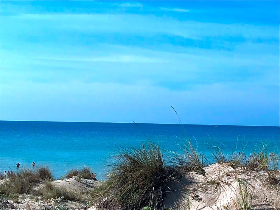 Librari - Quality confort