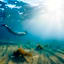 Mackerel Islands