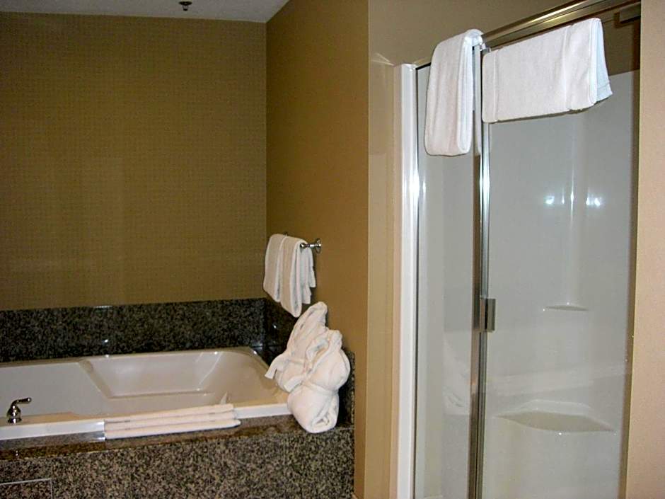 Holiday Inn St. Paul Northeast - Lake Elmo By IHG