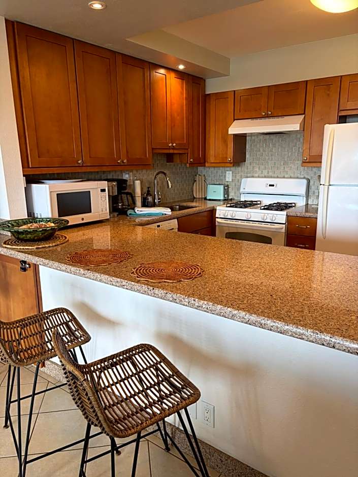 South Maui Ocean View Condo with Free Wifi and Parking