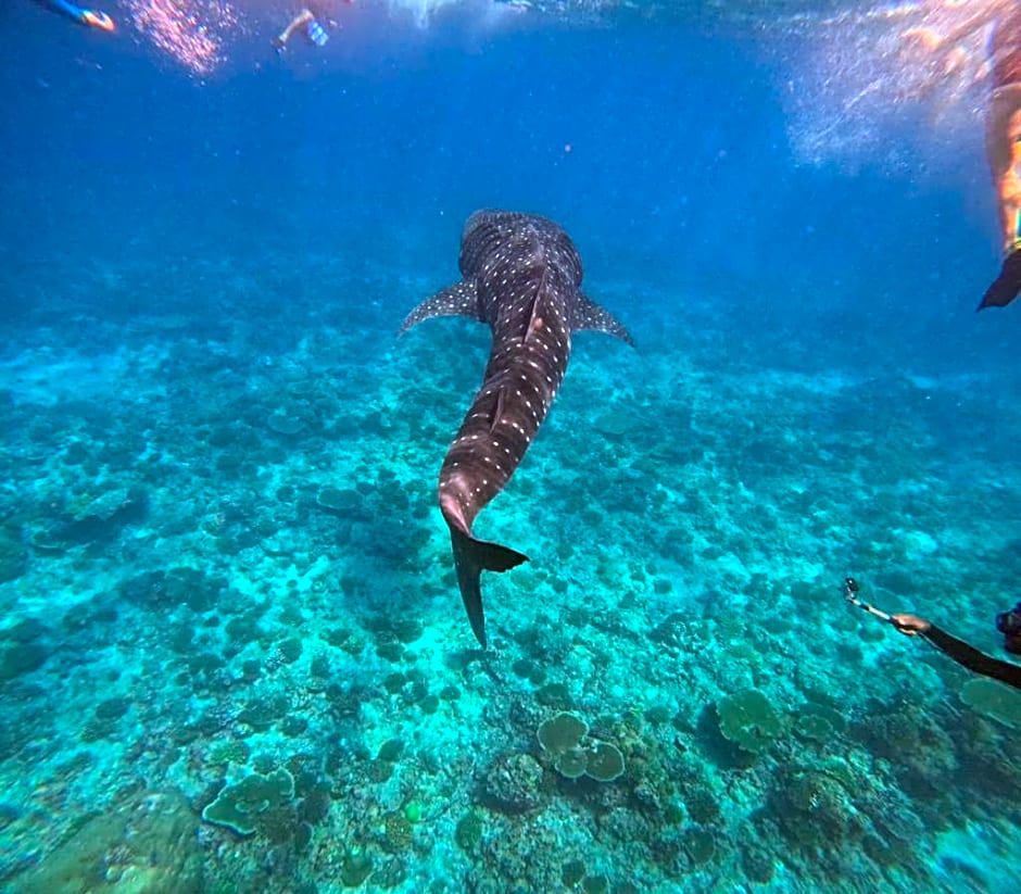 Raalhu Fonu Maldives