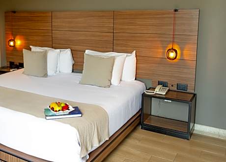 Junior Suite with Terrace