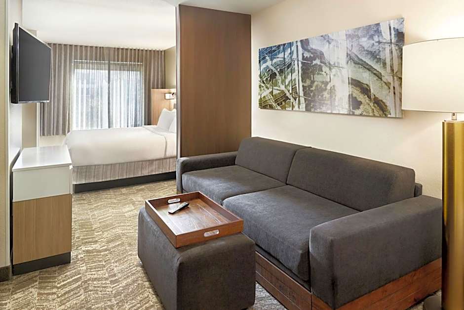 Photo 1 of 7 of 1 King Bed with Trundle Bed Suite