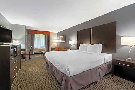 1 King Bed Non-Smoking Exterior Access Sofabed Mini Fridge Wi-Fi Full Breakfast