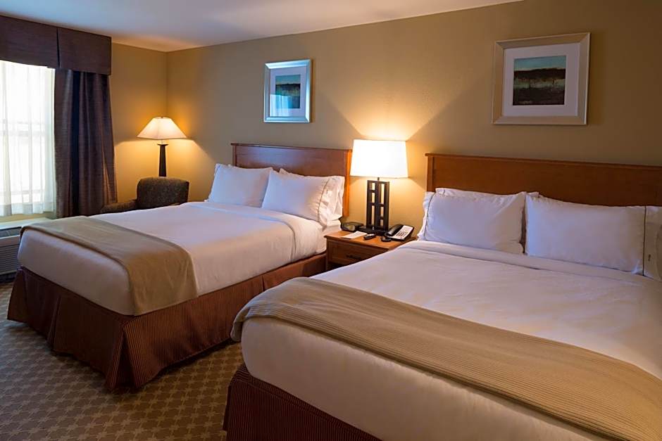Holiday Inn Express & Suites Chicago West-Roselle By IHG
