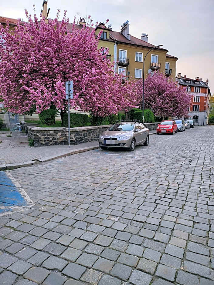 Apartamenty PRETTY WOMAN meldunek samodzielny 24h - noclegi Bytom Chorzów Katowice