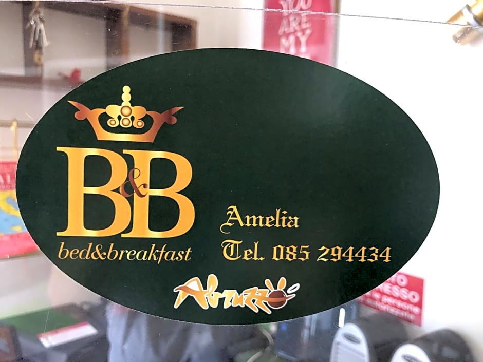 Zdjęcie 1 z 27 — B&B Amelia