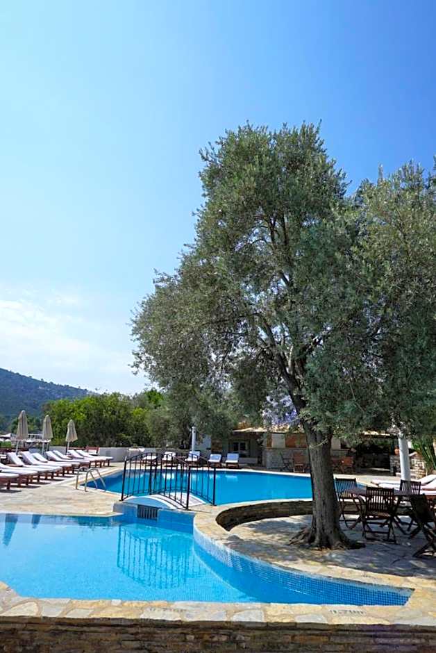 Omar Hotel & Suites