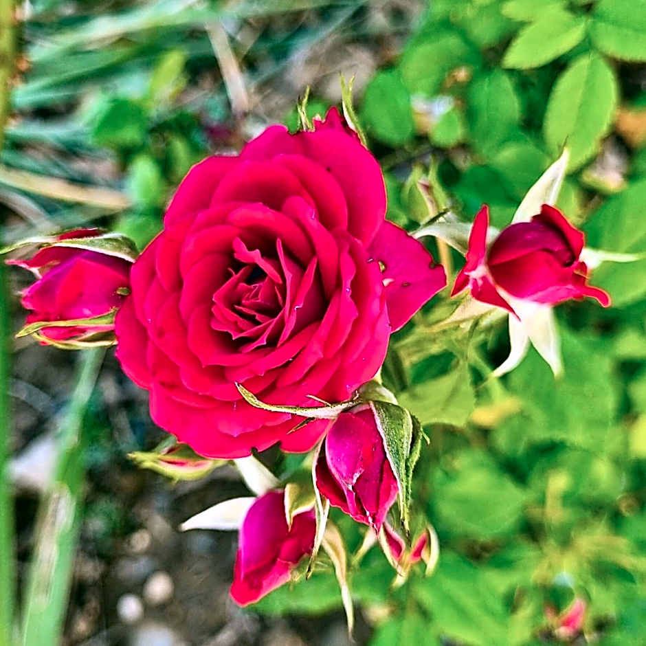 Infinity Wellness Boutique Hotel