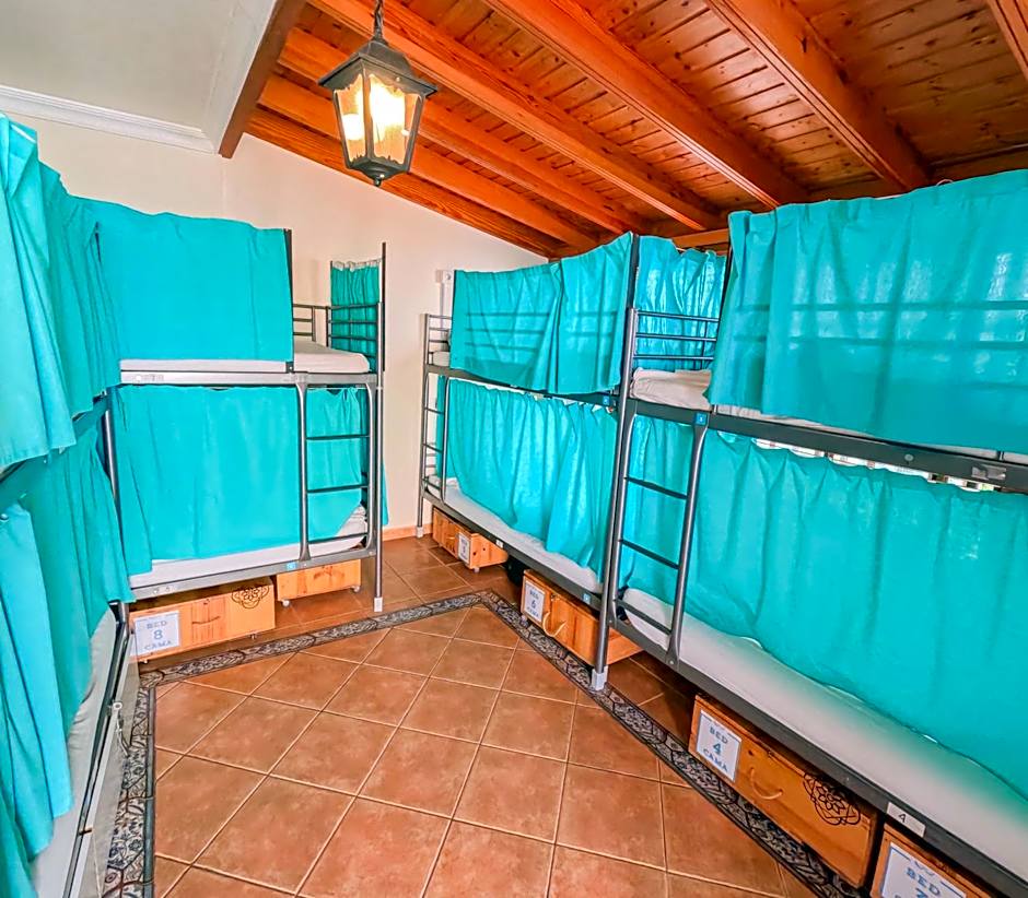 Arena Nest Hostel