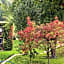 Waldblick Appartement