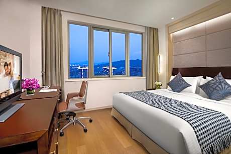 One-Bedroom Deluxe Executive Apartment