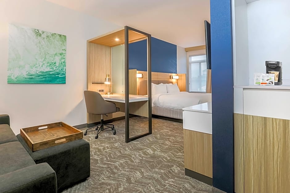 SpringHill Suites by Marriott Tallahassee North