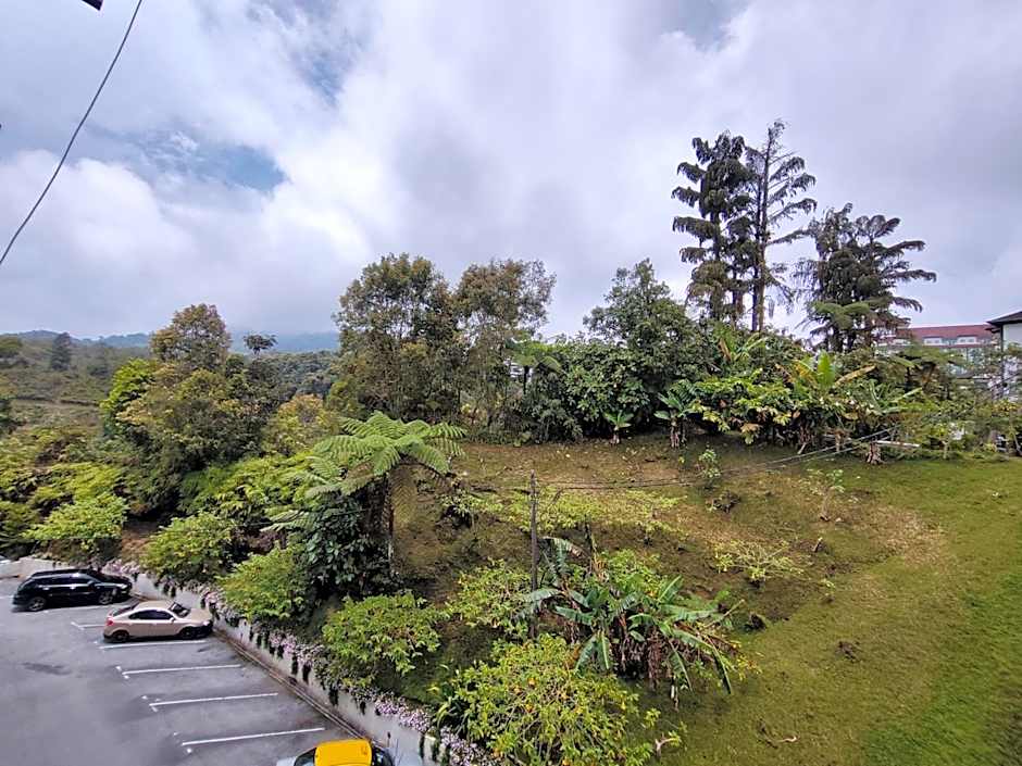 A ONE Holiday Apartment