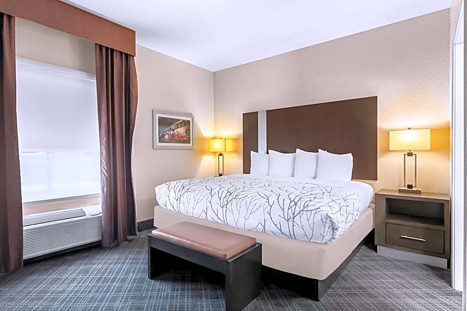 Best Western Boerne Inn & Suites