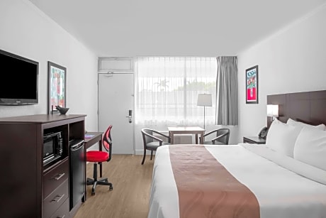 1 King Bed, Nonsmoking, Accessible, Shower.