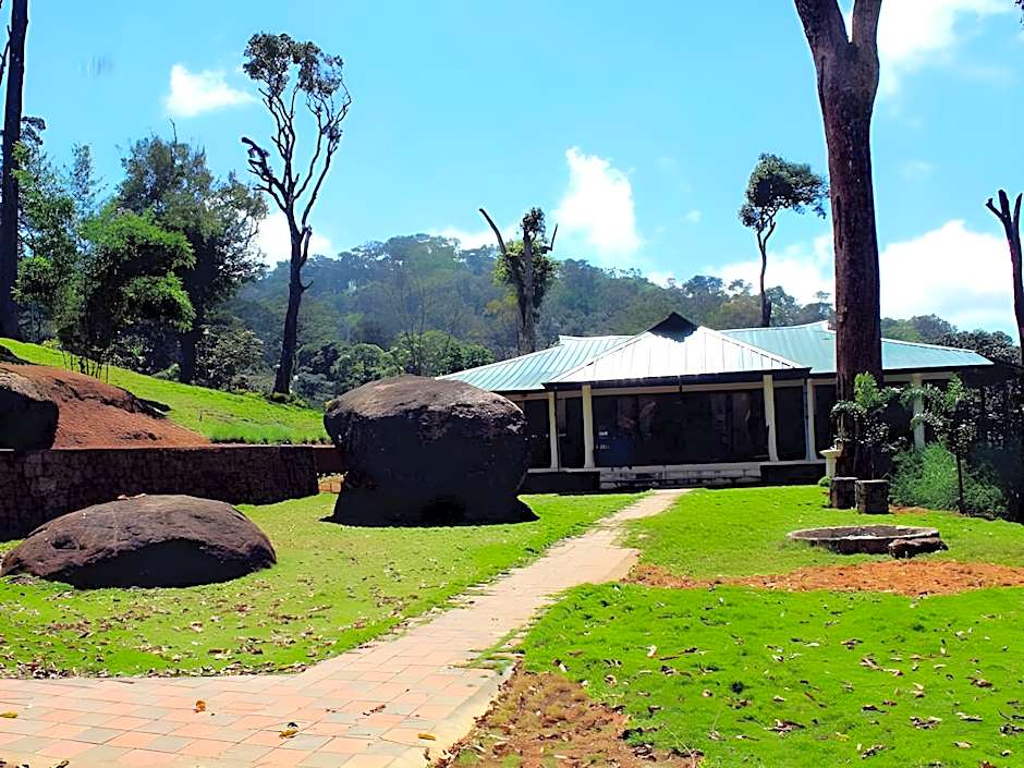 Neelakurunji Plantation Munnar