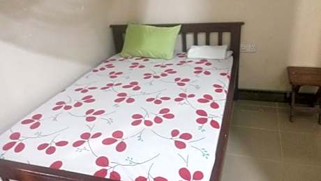Bed in 6-Bed Dormitory Room