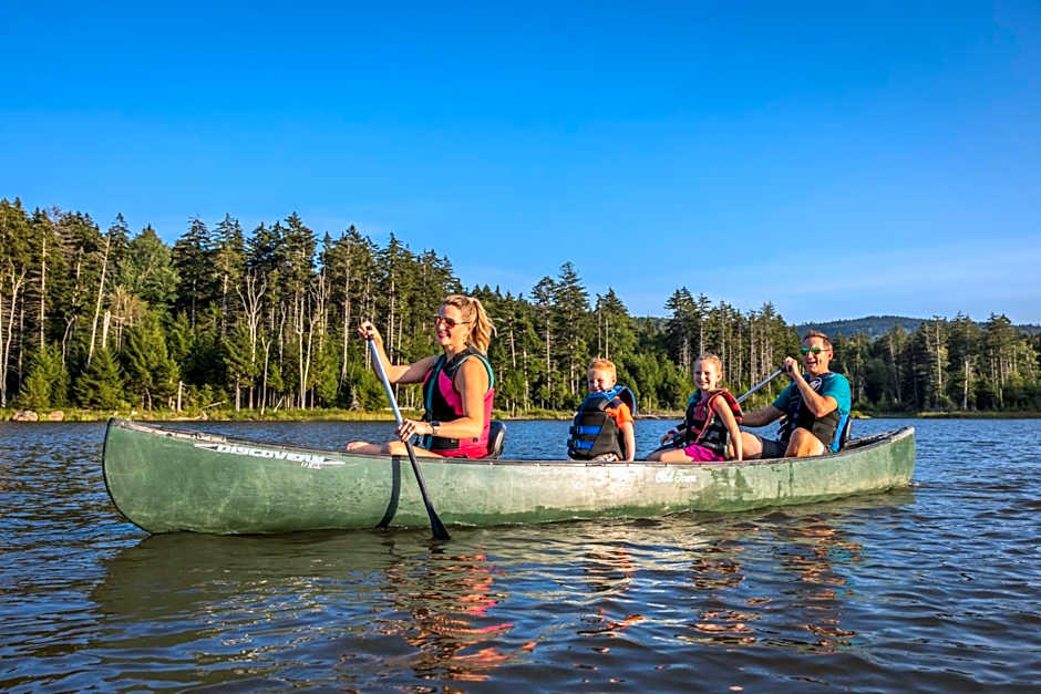 Allegheny Spring 239 KING, bed/Ski-In, Out/Pool & Hot Tub