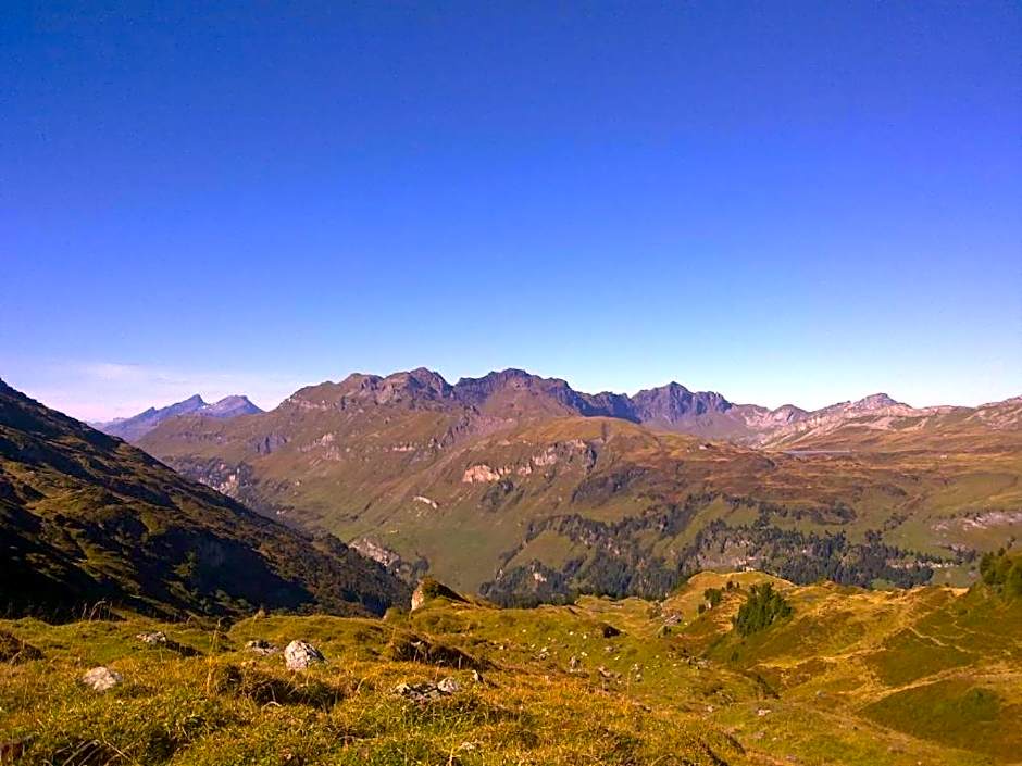 Hotel-Restaurant Alpina