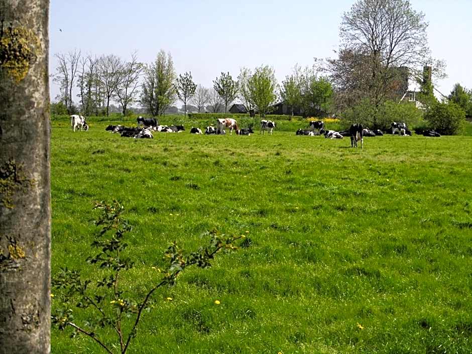 Vakantiehuisjes Marsherne