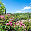 Borgo Bottaia