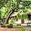 Palmgrove service villa