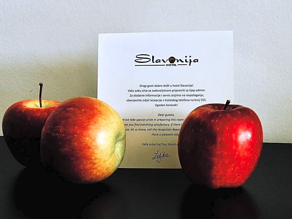 Hotel Slavonija