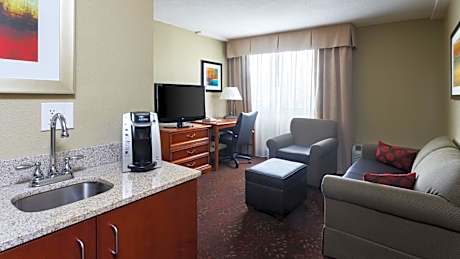 King Suite with Sofa Bed