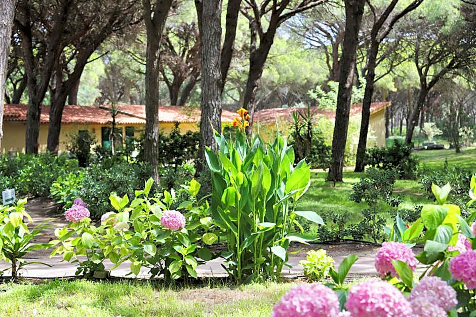 Residence with swimming-pool in Arborea just 300 meters from the beach