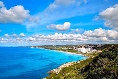 Sol Milanos Pingüinos