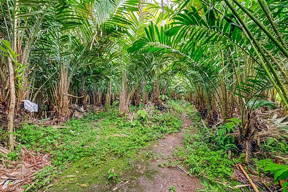 OYO Homes 90987 Desa Wisata Gabugan Syariah