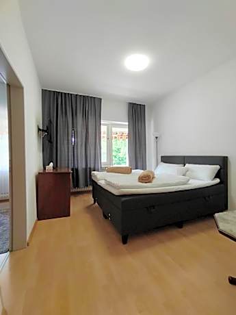 One-Bedroom Apartment with River View