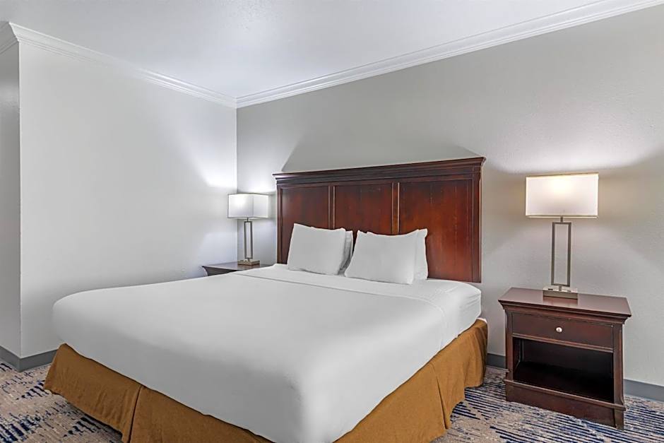 Best Western Plus Southpark Inn & Suites
