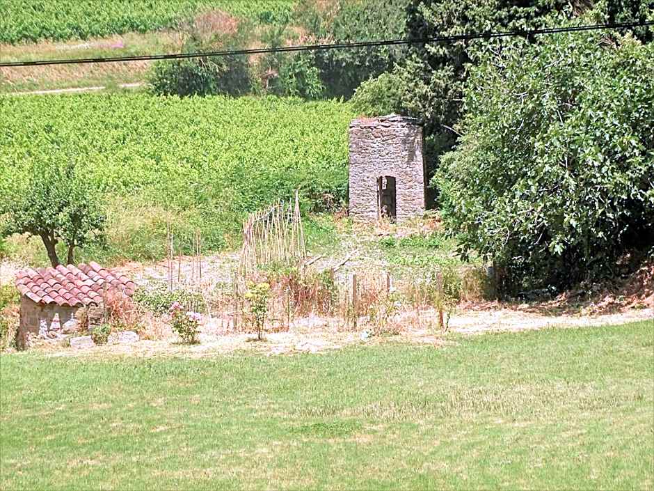 Domaine De La Petite Tour