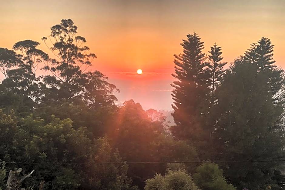 Tamborine Mountain Bed & Breakfast