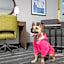 Hampton Inn By Hilton Yorkville